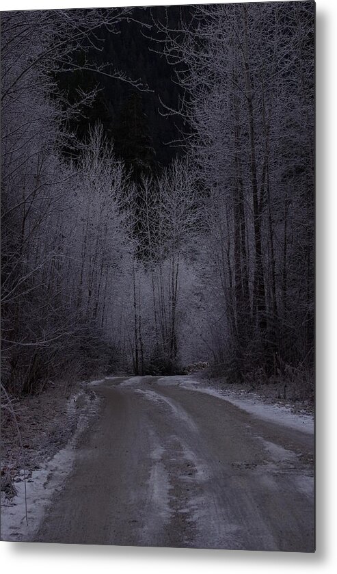 Ice Metal Print featuring the photograph Ice Road by Cindy Johnston
