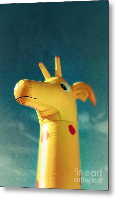 Kindergarten Metal Print featuring the photograph Inflatable Toy by Carlos Caetano