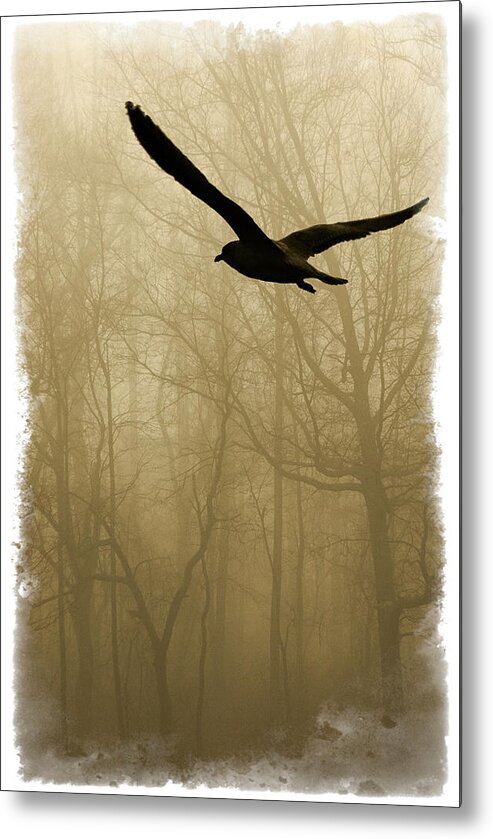 Bird Metal Print featuring the photograph Into the Fog by Harry Spitz