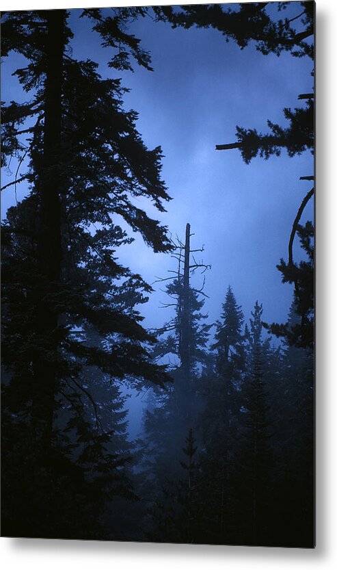 Landscape Metal Print featuring the photograph Into the Mist by Grant Sorenson