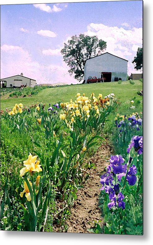 Landscape Painting Metal Print featuring the photograph Iris Farm by Steve Karol