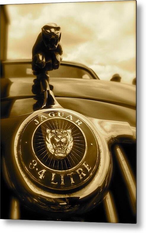 Classic Racing Cars Metal Print featuring the photograph Jaguar Car Mascot by John Colley