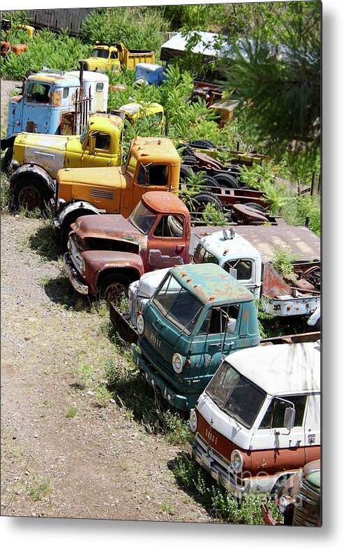 Cars Metal Print featuring the photograph Junkyard Rainbow by Suzanne Oesterling