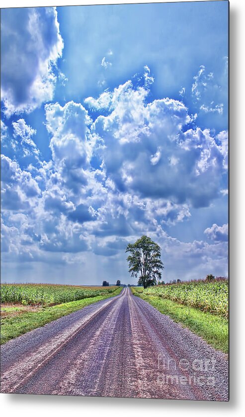Farming Metal Print featuring the photograph Knowing The Right Way by Cathy Beharriell
