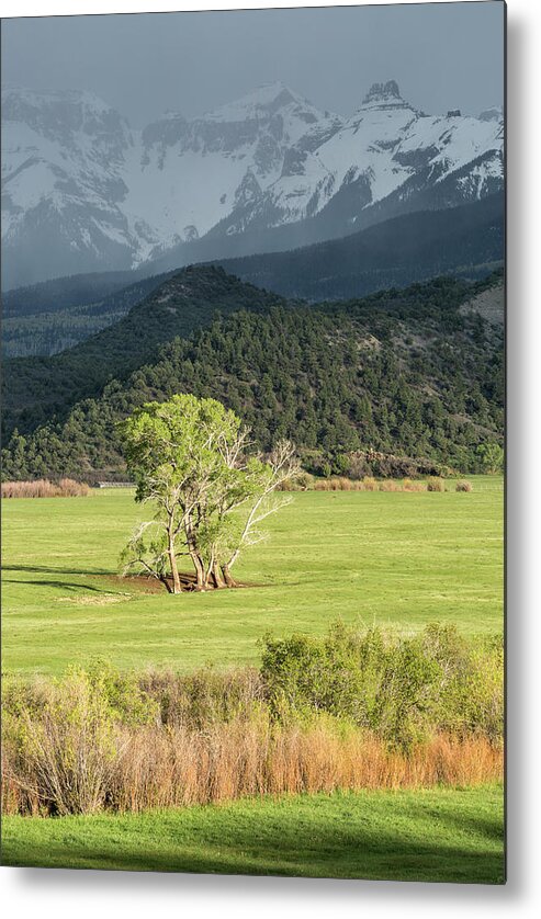 Landscape Metal Print featuring the photograph Light And Darkness by Denise Bush