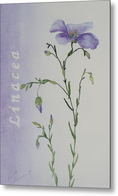 Flower Metal Print featuring the painting Linacea by Ruth Kamenev