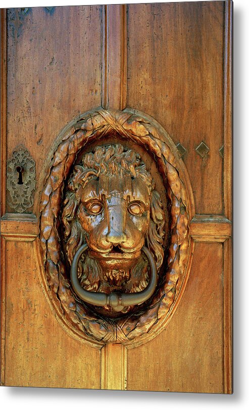 Lion Metal Print featuring the photograph Lion Of Aix by Shaun Higson