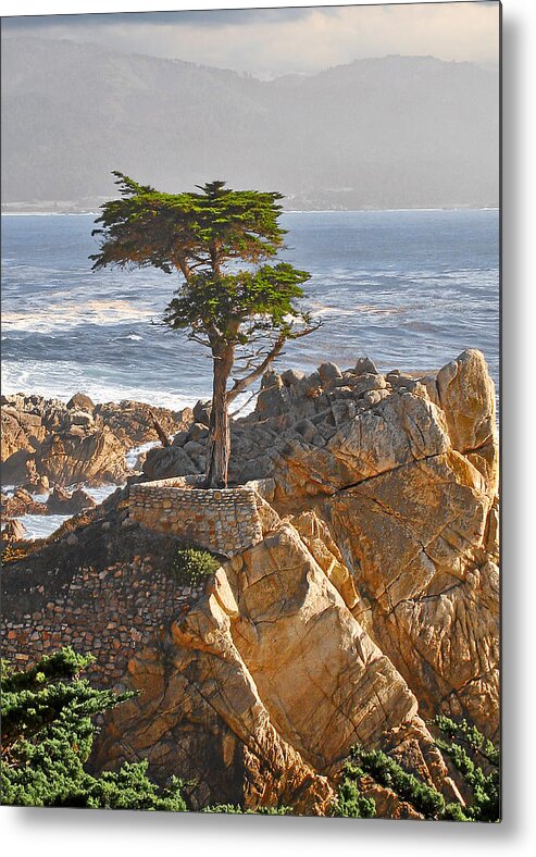 Pine Metal Print featuring the photograph Lone Cypress - The icon of Pebble Beach California by Alexandra Till
