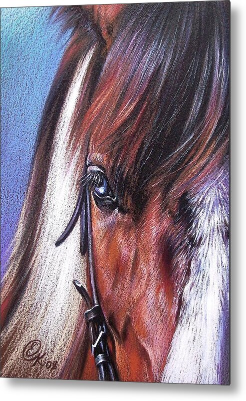 Horse Animal Portrait Drawing Art Metal Print featuring the drawing Magnificent Paint by Elena Kolotusha