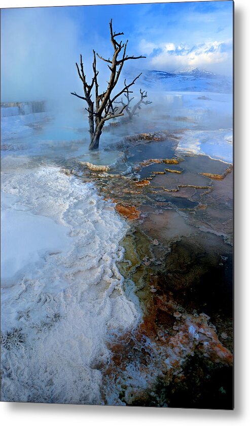 Boiling Metal Print featuring the photograph Mammoth by David Andersen