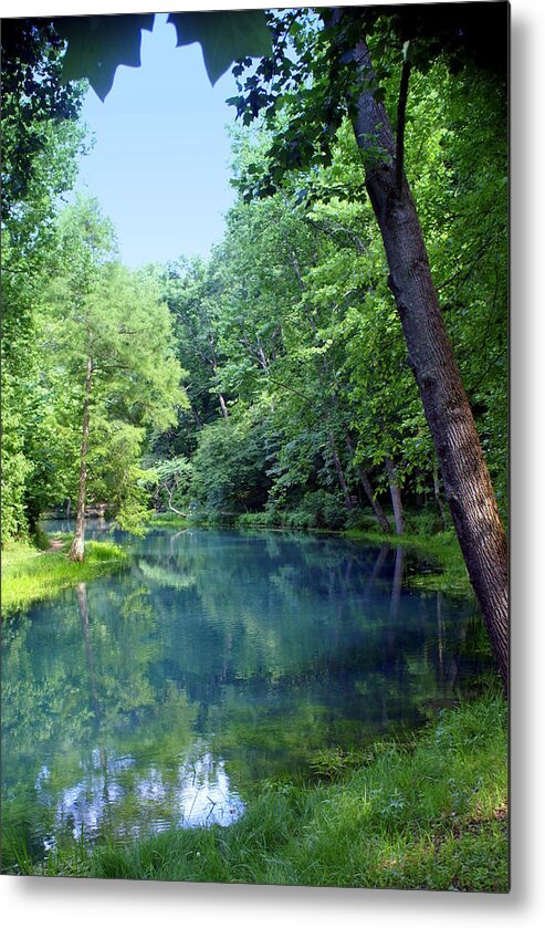 Maramec Springs Park Metal Print featuring the photograph Maramec Springs 2 by Marty Koch