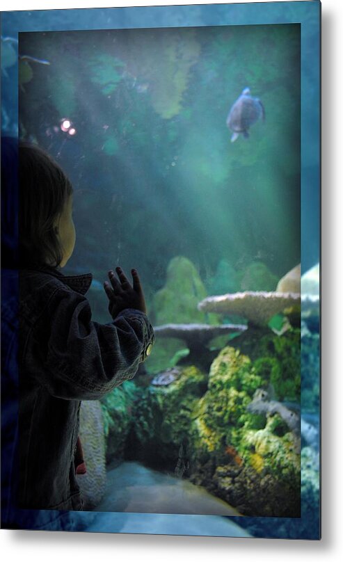 Turtle Metal Print featuring the photograph Mirrored Baby by Amanda Eberly
