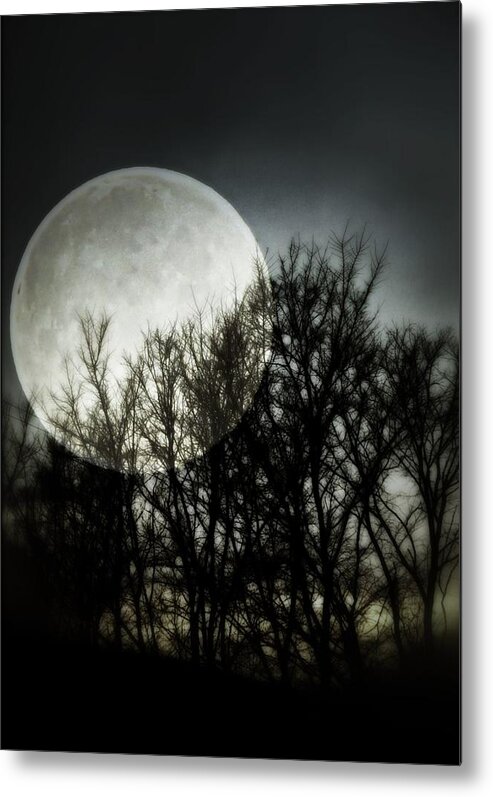 Moonlight Metal Print featuring the photograph Moonlight by Marianna Mills