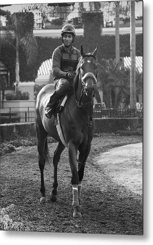 Horse Metal Print featuring the photograph Morning Ride by Dusty Wynne