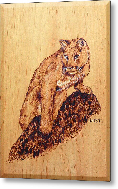 Cat Metal Print featuring the pyrography Mountain Lion by Ron Haist