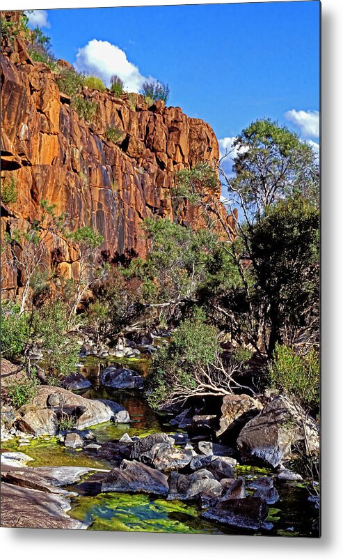 Central Australia Metal Print featuring the photograph Mt Hay Creek - Central Australia by Steven Ralser