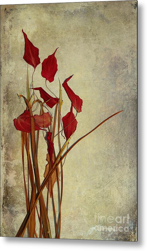 still Life�photography Metal Print featuring the photograph Nature Morte Du Moment by Aimelle Ml