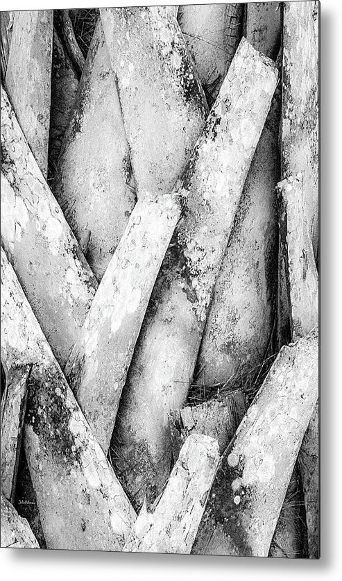 Nature Metal Print featuring the photograph Natures Abstract Black and White by Julie Palencia