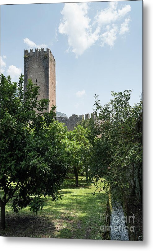 Bamboo Metal Print featuring the photograph Ninfa Garden, Rome Italy 8 by Perry Rodriguez