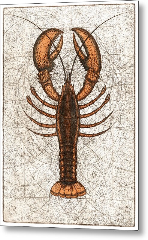 Lobster Metal Print featuring the painting Northern Lobster by Charles Harden