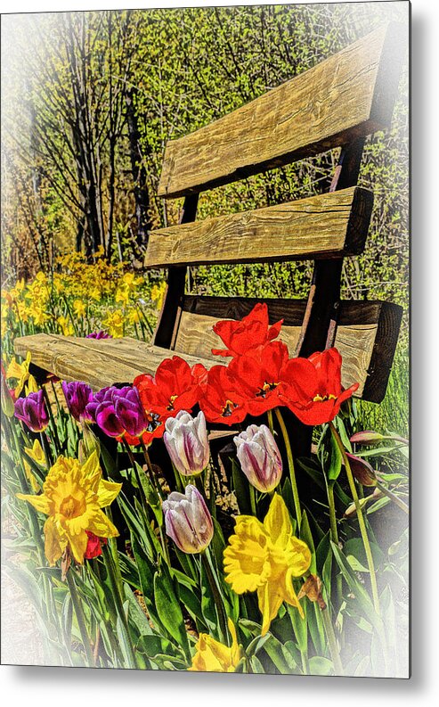 Spring Metal Print featuring the photograph Park Bench w/ Spring Flowers by Dennis Cox