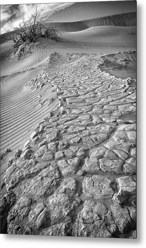 Crystal Yingling Metal Print featuring the photograph Pathway by Ghostwinds Photography