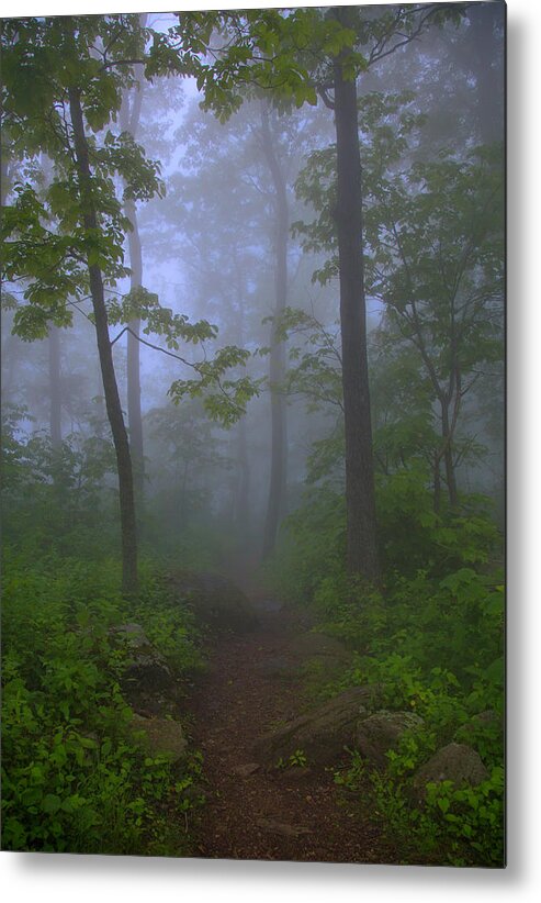 Landscape Metal Print featuring the photograph Pathway through the fog by Anthony Zeljeznjak