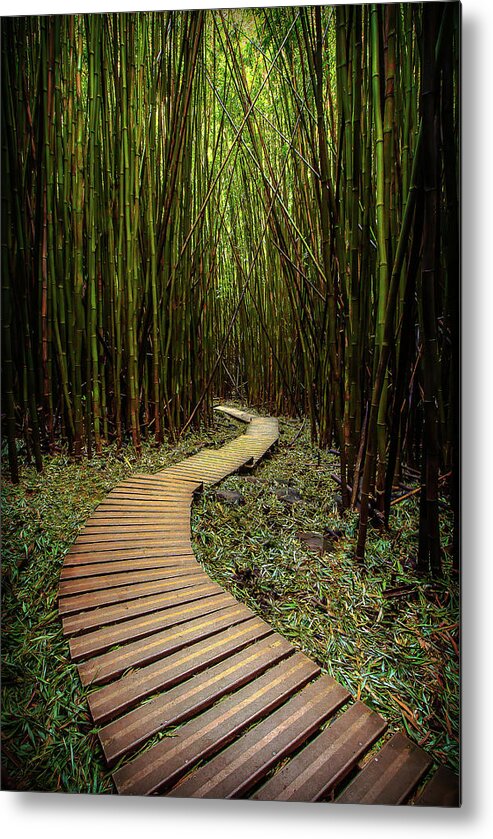 Path Metal Print featuring the photograph Pathway to Zen by Ryan Smith