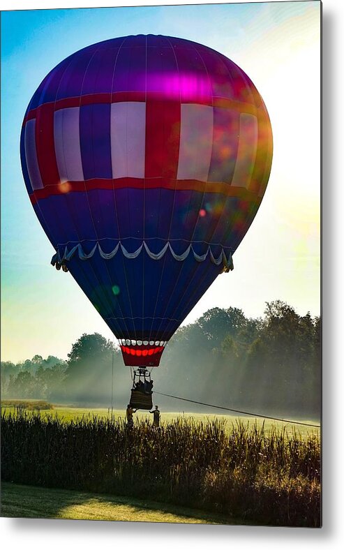  Metal Print featuring the photograph Perfect Landing by Kendall McKernon