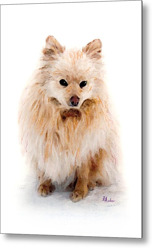 Pomeranian Metal Print featuring the pastel Pip by Brent Ander