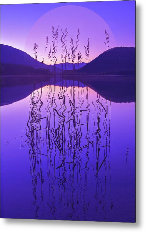 Purple Metal Print featuring the digital art Purple Zen by Joy McAdams