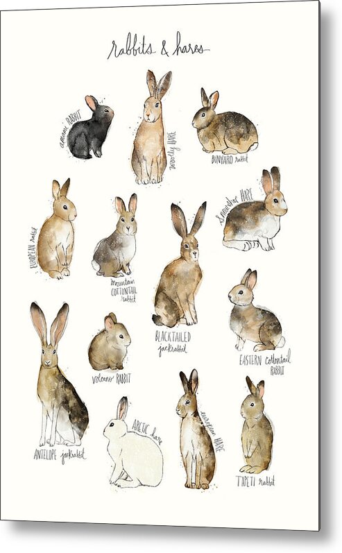 Rabbits Metal Print featuring the painting Rabbits and Hares by Amy Hamilton