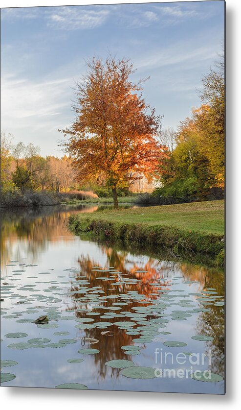 Red Maple Tree Metal Print featuring the photograph Red Maple Tree Reflection at Sunrise by Tamara Becker