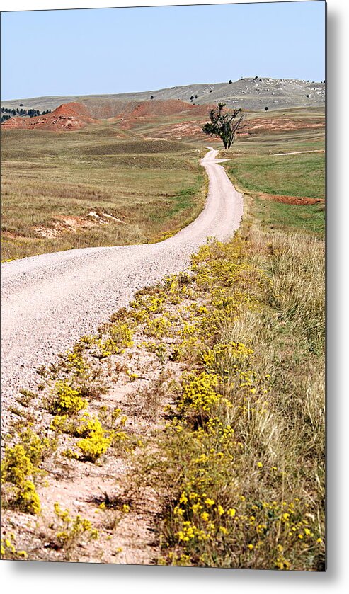 Red Valley Road Metal Print featuring the photograph Red Valley Road by Larry Ricker