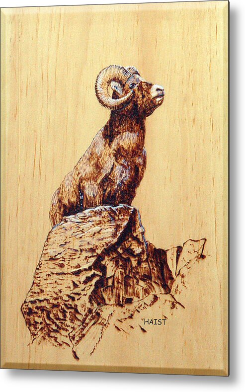 Ram Metal Print featuring the pyrography Rocky Mountain Bighorn Sheep by Ron Haist