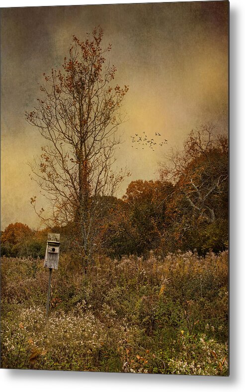 Bird House Metal Print featuring the photograph Room For One by Robin-Lee Vieira