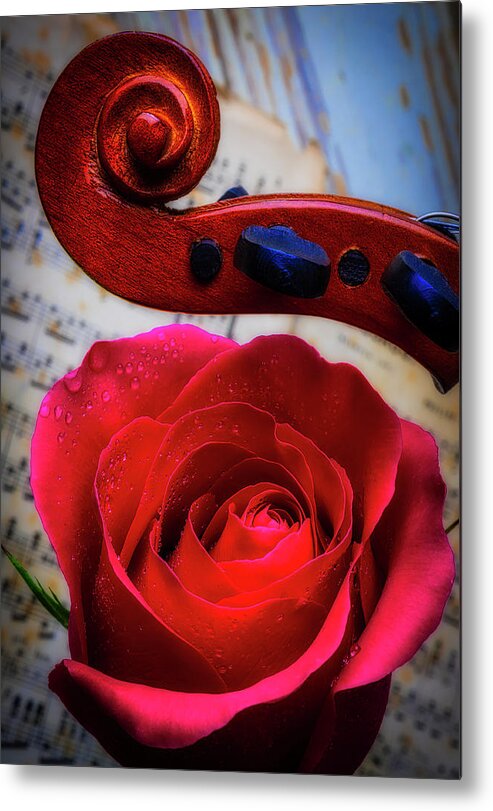 Red Metal Print featuring the photograph Rose And Scroll by Garry Gay