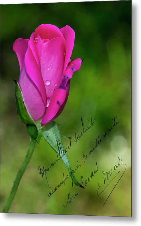 Note Card Metal Print featuring the photograph Rose Notes by Cathy Kovarik