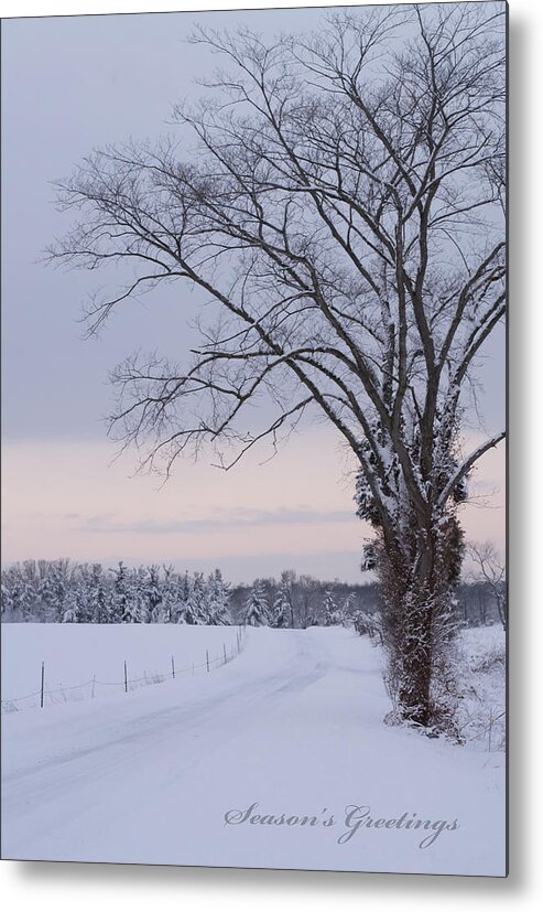 Season's Greetings Metal Print featuring the photograph Season's Greetings- Country Road by Holden The Moment