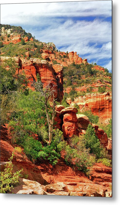 Landscape Metal Print featuring the photograph Sedona I by Ron Cline