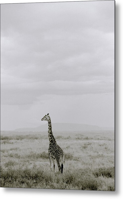 Inspiration Metal Print featuring the photograph Serengeti Solitude by Shaun Higson