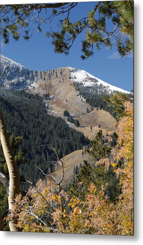 Sierra Blanca Metal Print featuring the photograph Sierra Blanca First Snow by Bill Hyde