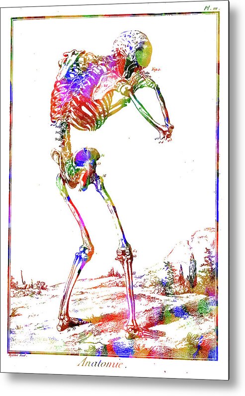 Skeleton Metal Print featuring the mixed media Skeleton by Ann Leech