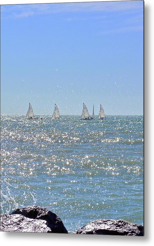 Sailboats Metal Print featuring the photograph Sparkling Water by Carol Bradley