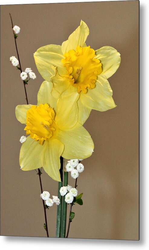 Nature Metal Print featuring the photograph Spring Beauty by Sheila Brown