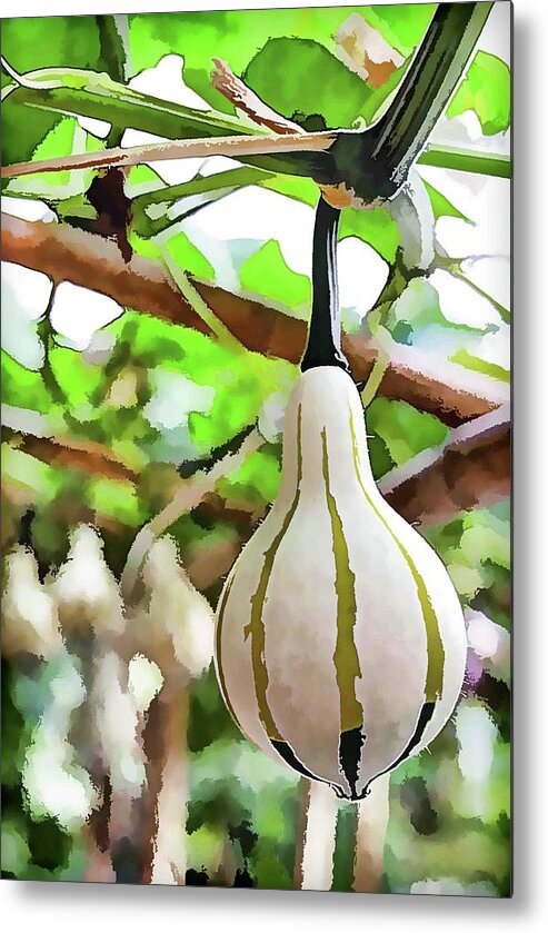 Tree Metal Print featuring the painting Squash 1 by Jeelan Clark