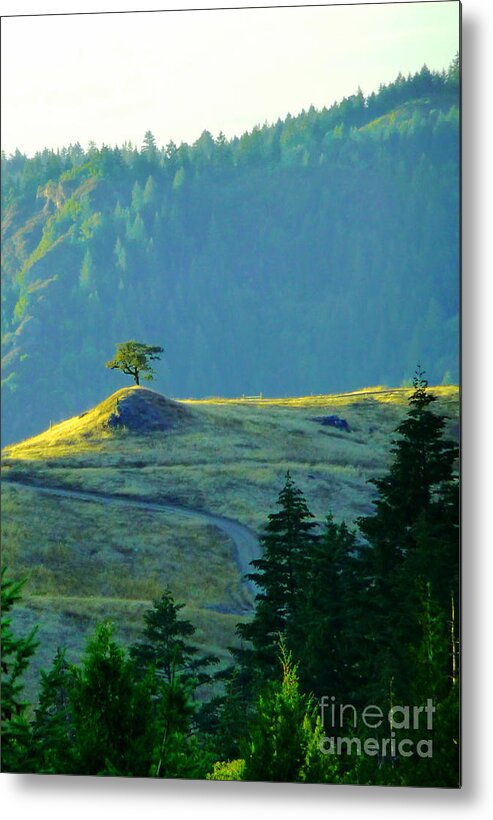 Lone Tree Metal Print featuring the photograph Standing Alone by JoAnn SkyWatcher