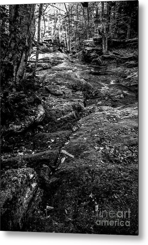 River Metal Print featuring the photograph Stevensville Brook in Underhill, Vermont - 2 BW by James Aiken