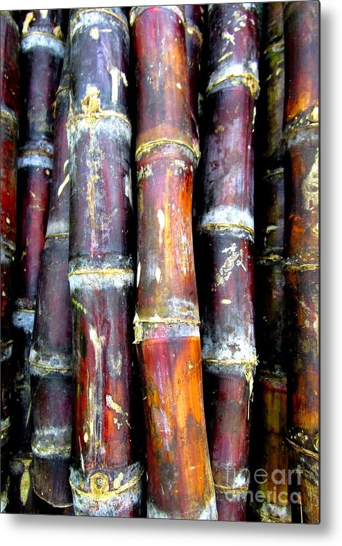 Produce Metal Print featuring the photograph Sugar Cane by Randall Weidner