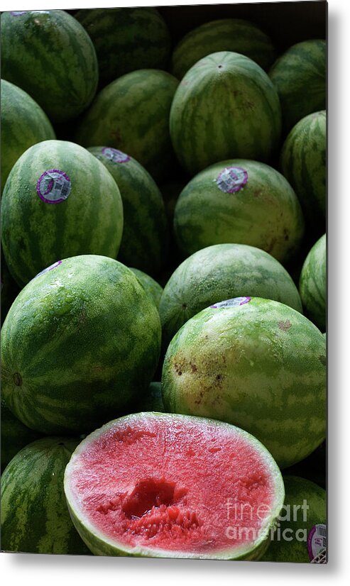 Nature Metal Print featuring the photograph Summer Snack by Skip Willits